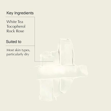 Aesop Parsley Seed Anti-Oxidant Facial Hydrating Cream 60Ml - Image 3