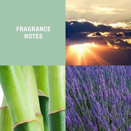 Curve Wave By Liz Claiborne For Men Cologne Spray 4.2-Ounce