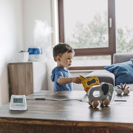 Vicks 2-In-1 Hygrometer And Thermometer V70