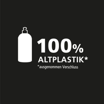 Fit Art Dish Soap Gustav Klimt The Kiss 500Ml