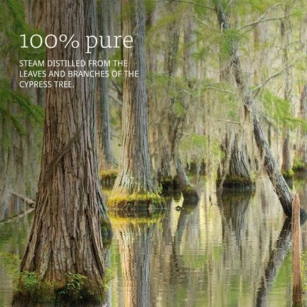 Now Foods Cypress Oil 1-Fluid Ounce - Image 3