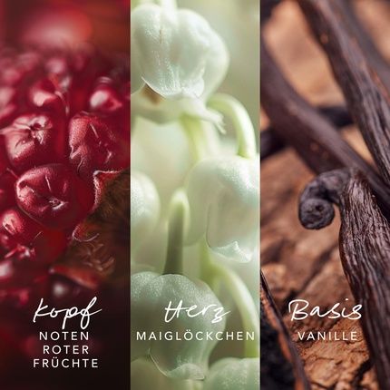 Mexx Inspired Warmth Eau De Parfum For Women - Fruity Amber Fragrance - Image 3