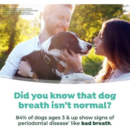 Tropiclean Fresh Breath Dog Teeth Cleaning Foam Dental Care Solution - Image 3