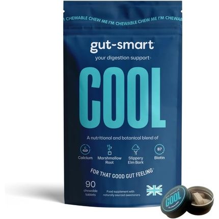 Gut-Smart Cool Chewable Tablets Heartburn Relief Antacid Natural Supplements For Healthy Digestion 90 Tablets
