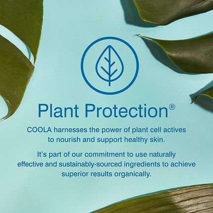 Coola Organic Sunscreen Spf 30 Sunblock Spray With Pina Colada Scent 6 Fl Oz - Image 3