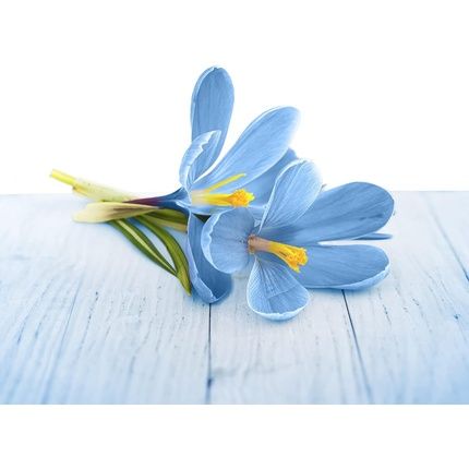 Airwick Freshmatic Max Pure Refill For Air Wick Freshmatic Max - Spring Fresh - Image 3