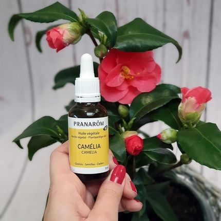 Pranarom Camellia Plant Oil Cold Pressed Virgin 30Ml