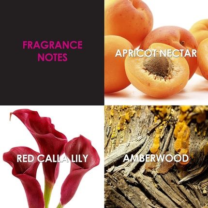 Britney Spears Prerogative Eau De Parfum Women'S Fragrance 30Ml - Image 3