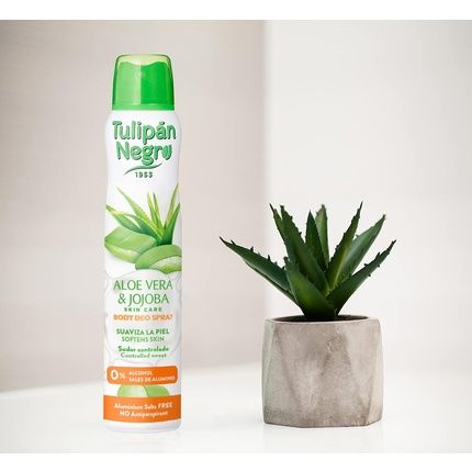 Black Tulip Aloe Vera And Jojoba Deodorant Spray 200Ml - Image 3