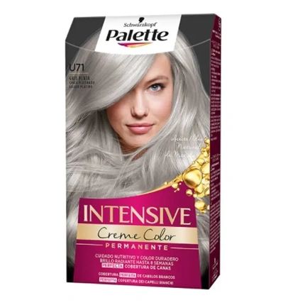 Palette Intensive U71 Frosty Silver Hair Color