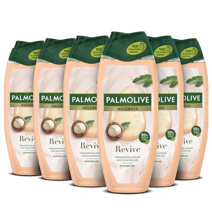 Palmol Therapeutic Oil Shower Gel 500Ml