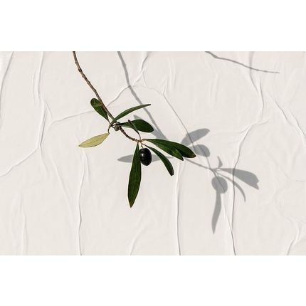 Korres Olive Nourishing Conditioner - Image 3