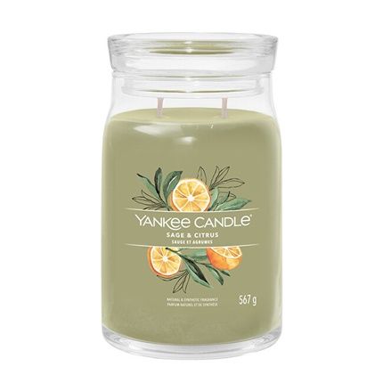 Yankee Candle Sage Citrus Signature Candle Aromatic Candle In Large Glass 567 G