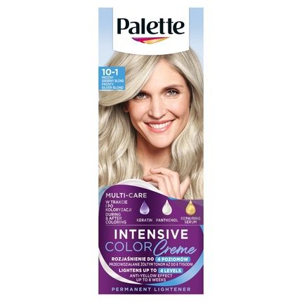 Palette Intensive Color Creme Hair Colorant C10 Frosty Silver Blond