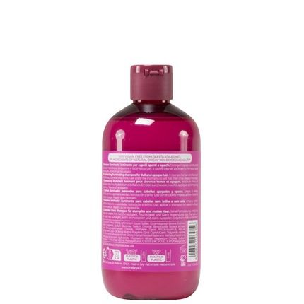 Inebrya Shecare Glazed Illuminating Shampoo For Dull And Lifeless Hair 300Ml