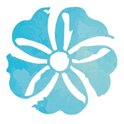 Holoslife Agua De Mar Spray 250Ml