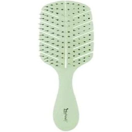 Bifull Biodegradable Green Biofriendly Disc Brush Black Standard
