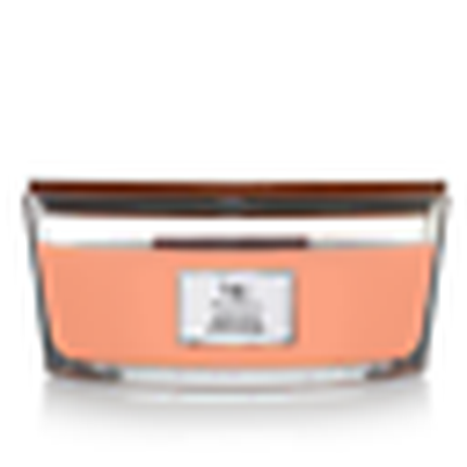 Woodwick Manuka Honey Scented Decor Gift Candle