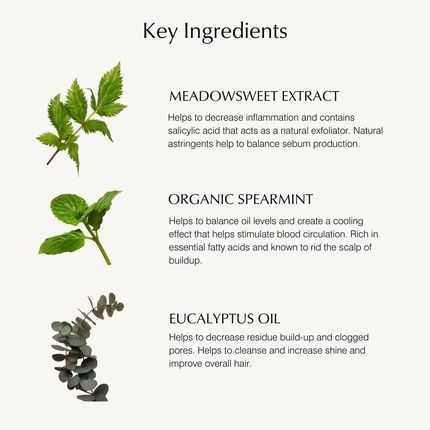 John Masters Organic Scalp Stimulating Shampoo With Spearmint And Meadowsweet 8 Fl Oz 236Ml - Image 3