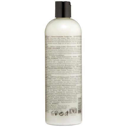 Chi Transformation System Phase 1 Blue