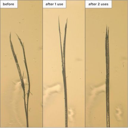 Briogeo Don'T Despair Repair Moisture Damage Defense Leave-In Treatment