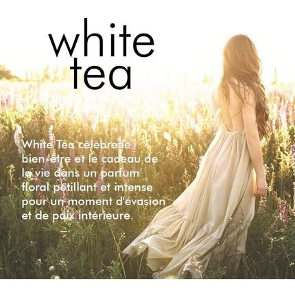 Elizabeth Arden White Tea Wild Rose Body Cream  400Ml - Image 3