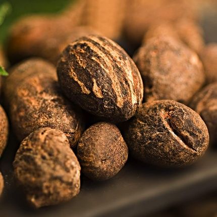 Cottage Shower Oil Extra Nourishing Shea 560Ml - Image 3