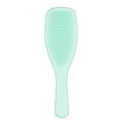 Tangle Teezer Wet Detangler Fine & Fragile Mint Hairbrush Jade Lagoon