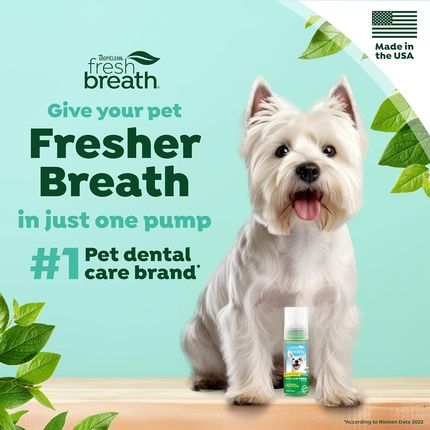 Tropiclean Fresh Breath Dog Teeth Cleaning Foam Dental Care Solution