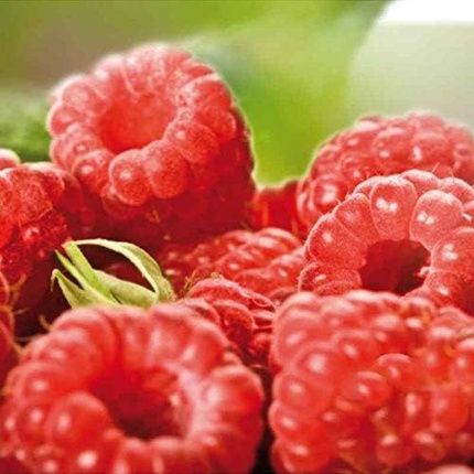 Docteur Renaud Raspberry Soft Fluid 50Ml - Image 3