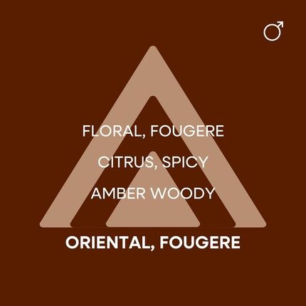 Colour Me Gold Homme Perfume For Men 100Ml Eau De Parfum Luxury Fragrance - Image 3