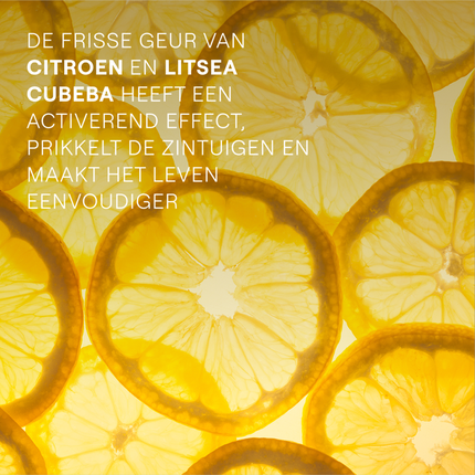 Refresh Shower Cream Citrus 400Ml