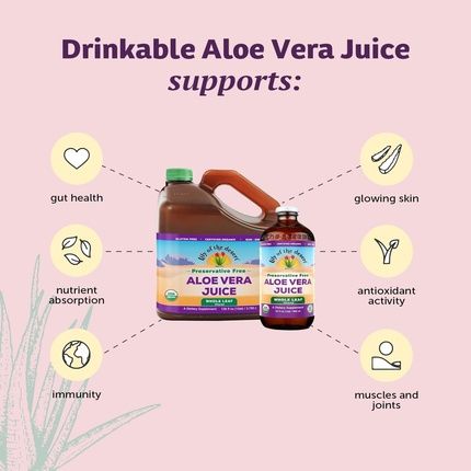 Lily Of The Desert Aloe Vera Juice Whole Leaf Filtered Aloe Vera Drink With Natural Digestive Enzymes 32 Fl Oz - Image 3