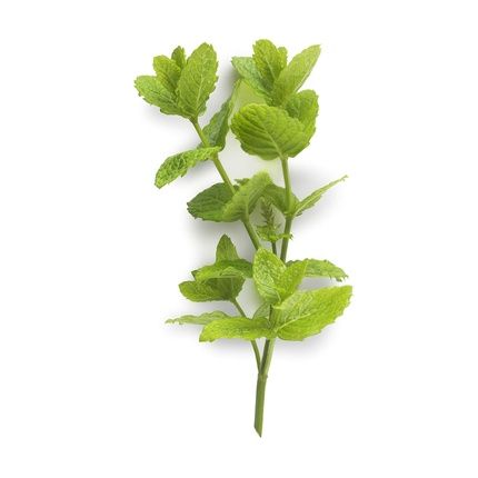 Payot Anti-Imperfections Grey Paste 30Ml - Image 3