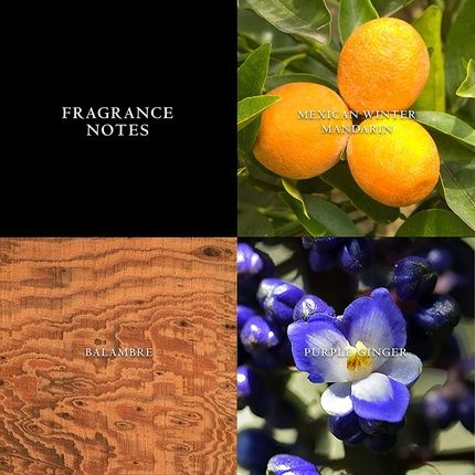 John Varvatos Artisan Eau De Toilette For Men 75Ml - Image 3