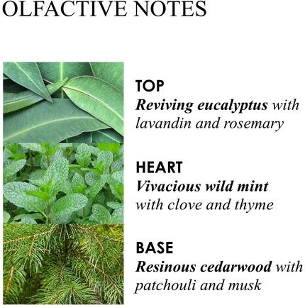 Molton Brown Infusing Eucalyptus Bath And Shower Gel 300Ml