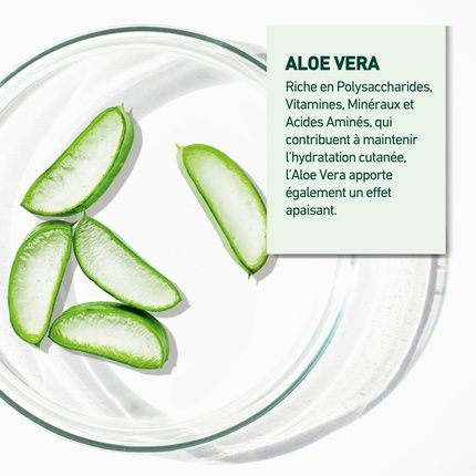 Vendome Laboratories Nutri V+ Ultra-Rich Cleansing Cream - Gently Cleanses - Image 3