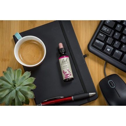 Bach Original Flower Remedy Elm Vegan Formula Flower Essences For Emotional Wellness 1 Dropper Bottle X 20Ml - Image 3