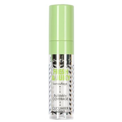 Lovely Fresh & Juicy Camouflage Face Concealer 2 4.5G