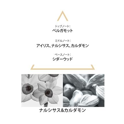 Singuliere Theria Eau De Parfum 50Ml - Image 3