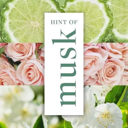 Impulse Hint Of Musk Body Spray Deodorant 150Ml - Image 3
