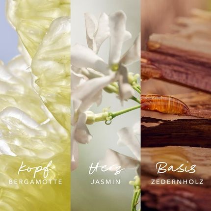 Mexx Inspired Nature Eau De Parfum For Women Floral-Fruity Fragrance - Image 3