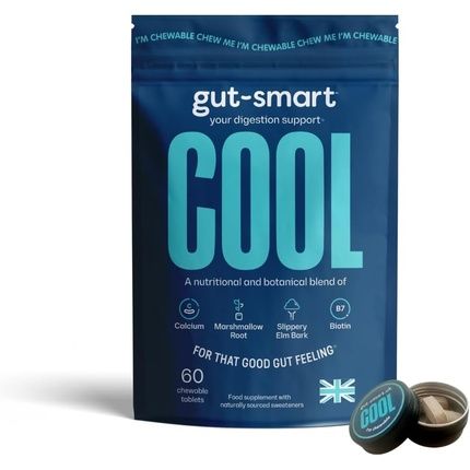 Gut-Smart Cool Chewable Tablets Heartburn Relief Antacid Natural Supplements For Healthy Digestion 60 Tablets