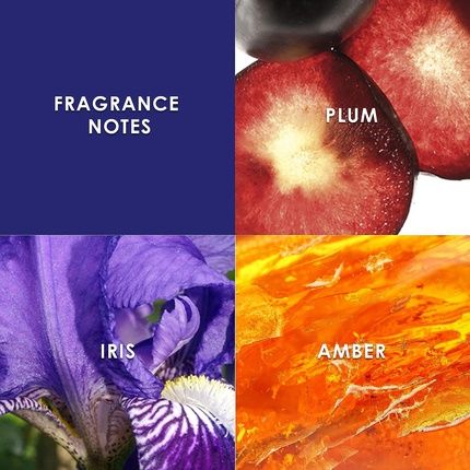 Britney Spears Midnight Fantasy Fine Fragrance Mist Oriental 236Ml