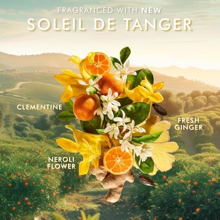 Moroccanoil Shower Gel Soleil De Tanger - Image 3