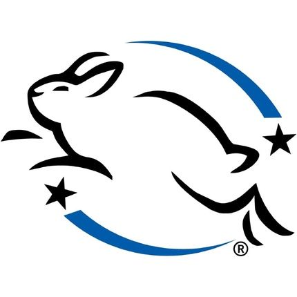 Chi Ionic Color Illuminate Silver Blonde Color Enhancing Conditioner 251Ml