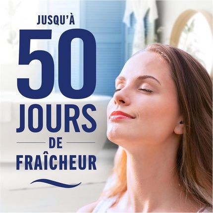 Febreze Petit Coin Citrus Freshness Continuous Toilet Deodorizer