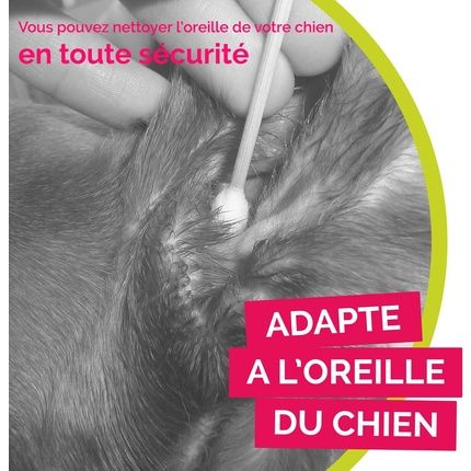 Bamboostick Bamboo Cotton Buds For Medium And Large Dogs 50 L/Xl Buds