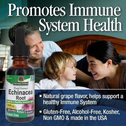Nature'S Answer Echinacea Alcohol Free Extract 1 Fluid Ounce - Image 3