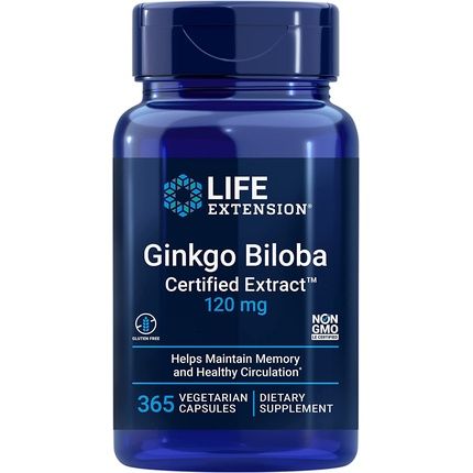 Life Extension Ginkgo Biloba Certified Extract For Healthy Memory Support And Brain Cognitive Function 365 Capsules